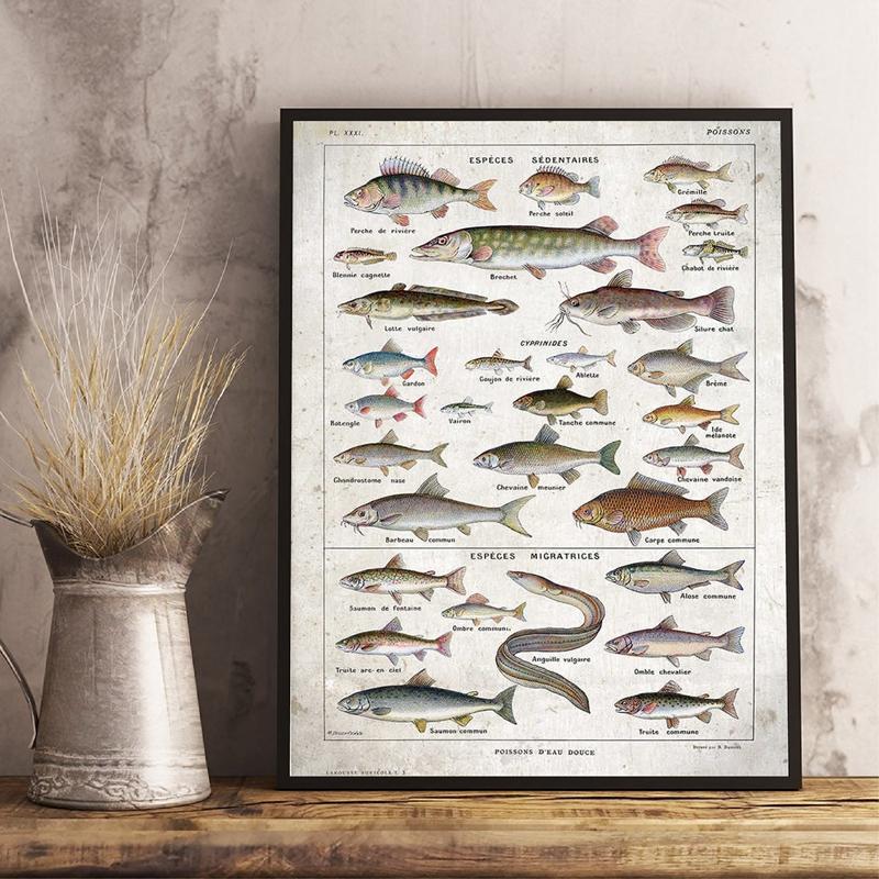 Paintings Home Wall Art Picture Canvas Painting Prints Freshwater Fish Vintage Poster Posters Modular Nordic Modern Living Room Decoration
Paintings Home Wall Art Picture Canvas Painting Prints Freshwater Fish Vintage Poster Posters Modular Nordic Modern Living Room Decoration