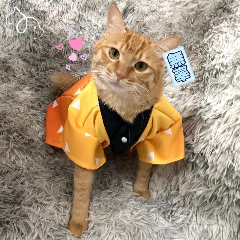 Cat Costumes Clothes Costume Cosplay Clothing For Cats Demon Slayer Suit Mugen Train Tanjiro Kamado Nezuko Shinobu Giyu
Cat Costumes Clothes Costume Cosplay Clothing For Cats Demon Slayer Suit Mugen Train Tanjiro Kamado Nezuko Shinobu Giyu