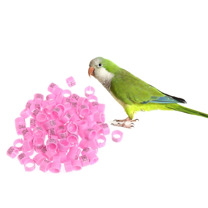 100 Pcs 8 mm Identification Ring Postpigeon Training Delivers Been Number Bird Bands T8WB