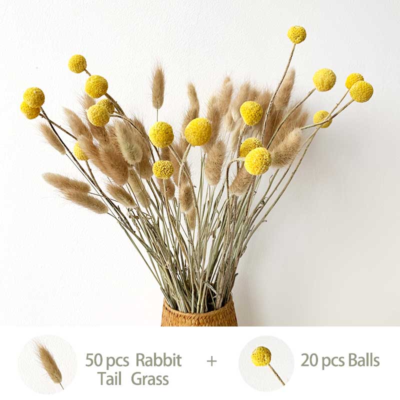 Natura dried fowers agurus Ovatus Rabbit Tai Grass biy-Ba fowers Eucayptus Branches Rea Dried cotton Fowers NEW HOT, 5 pcs and 6 pcs
Natura dried fowers agurus Ovatus Rabbit Tai Grass biy-Ba fowers Eucayptus Branches Rea Dried cotton Fowers NEW HOT, 5 pcs and 6 pcs