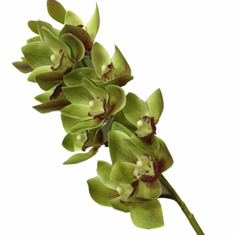 4p Artificial Latex Cymbidium Orchid Flowers 10 Heads Real Touch Good Quality Phalaenopsis For Wedding Decorative Flower & Wreaths