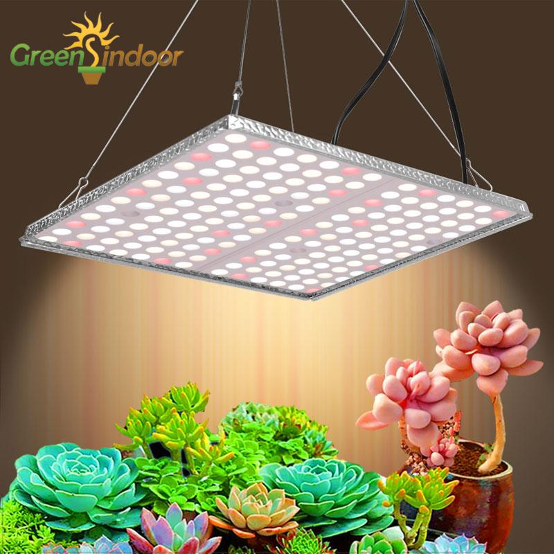 Grow Lights LED Light Indoor Phyto Lamp For Plants LM281B Quantum Board Full Spectrum Panel Tent Flowering 1000W 600W
Grow Lights LED Light Indoor Phyto Lamp For Plants LM281B Quantum Board Full Spectrum Panel Tent Flowering 1000W 600W