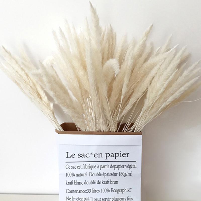Vases 15Pcs Dried Reed Flower Arrangement Natural Pampas Grass Phragmites Plants Bouquet For Home Decoration Wedding Party