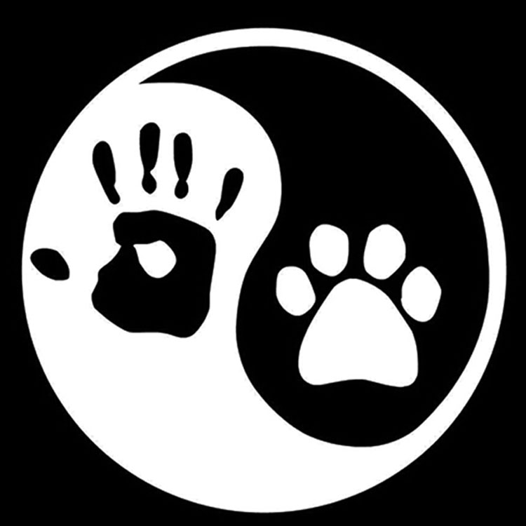 Autocollant de voitures Yin et Yang Cat Cat Dog Empreints Palm Imprimer Notebook Vinyle Décalcomanie Personnalité Fenêtre Verre Décoration, 14cm