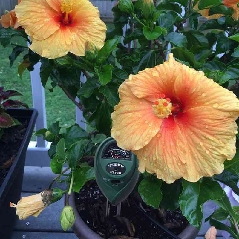 3 In1 Flowers Plant Bodem Ph Tester Moisture Light meter Hydroculture Analyser 40JA