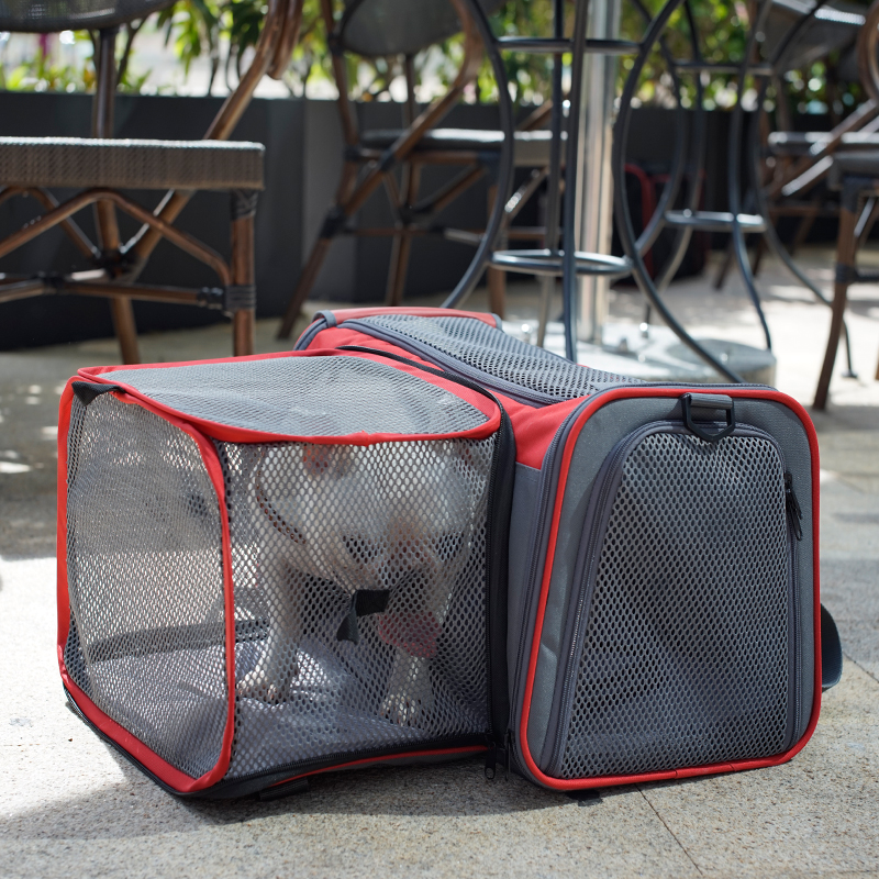 I PAW M4Pet Expandabe Dog Carrier Breathabe Portabe Soft Sided Car Bag Pet Trave Bag Mutifunction Kenne For Dog Cat
I PAW M4Pet Expandabe Dog Carrier Breathabe Portabe Soft Sided Car Bag Pet Trave Bag Mutifunction Kenne For Dog Cat