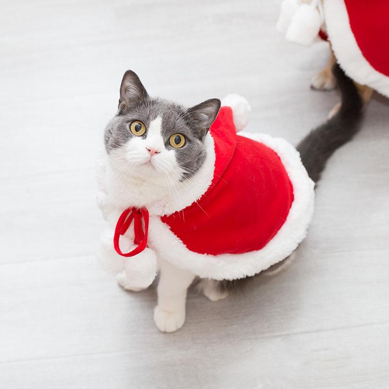 Cat Costumes 1Pcs Winter Christmas Clothes Little Red Riding Hood Cloak Coat Cosplay Costume Pet Kitten
Cat Costumes 1Pcs Winter Christmas Clothes Little Red Riding Hood Cloak Coat Cosplay Costume Pet Kitten
