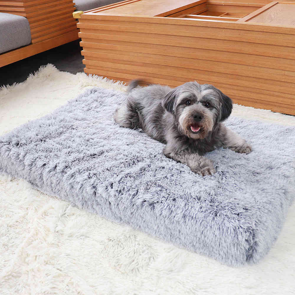 Plush square kennel cat mat pet kennels mats cushion deep sleep dog sofa bed pets supplies
Plush square kennel cat mat pet kennels mats cushion deep sleep dog sofa bed pets supplies