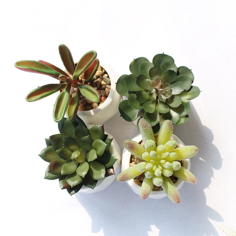 Decorative Flowers & Wreaths 4 Pcs Mini Vivid Cactus Succulent Bonsai With Pot For Potted Placed Green High Quality Fake Plants Table Decora, P32t1
Decorative Flowers & Wreaths 4 Pcs Mini Vivid Cactus Succulent Bonsai With Pot For Potted Placed Green High Quality Fake Plants Table Decora, P32t1