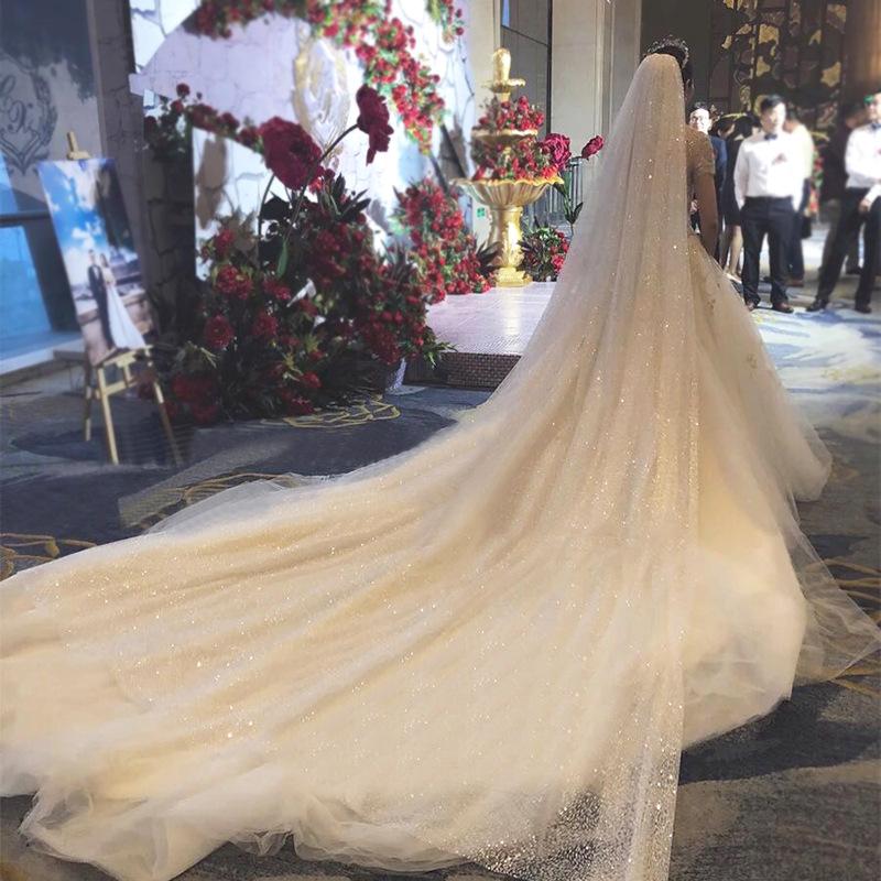 Bridal Veils Wedding Bride Veil Mariage Velo Welon Slubny Accessories Shiny Sequins Long Tail De Novia Brasil Estoque, Black
Bridal Veils Wedding Bride Veil Mariage Velo Welon Slubny Accessories Shiny Sequins Long Tail De Novia Brasil Estoque, Black