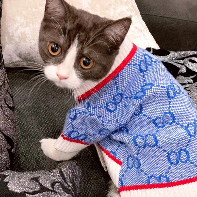 2021 Designer Winter Dog Clothes G Cat Vest Sweater Luxurys Designers Soft Cloth Pet Supply Clothing Cardigan Coats For Puppy D2110184Z, Blue
2021 Designer Winter Dog Clothes G Cat Vest Sweater Luxurys Designers Soft Cloth Pet Supply Clothing Cardigan Coats For Puppy D2110184Z, Blue