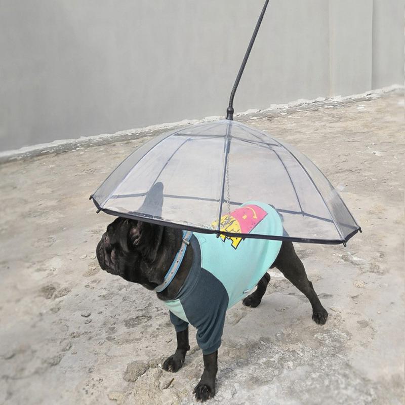 Dog Car Seat Covers Walking Leash Pet Transparent Umbrella C Shaped Retractable Steering Handle Handle-free Rainy Day Pets Collar
Dog Car Seat Covers Walking Leash Pet Transparent Umbrella C Shaped Retractable Steering Handle Handle-free Rainy Day Pets Collar