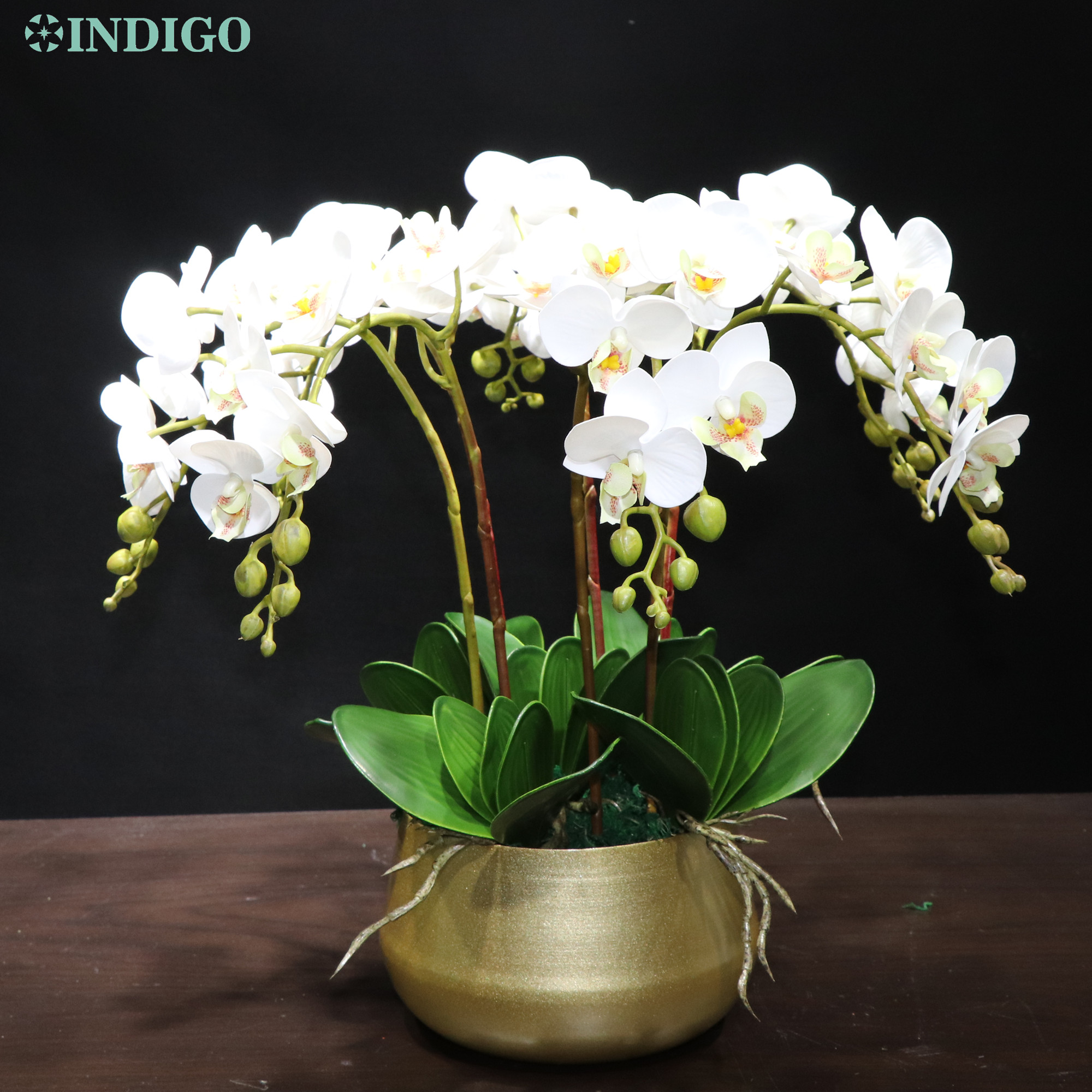 INDIGO- White Orchid (7pcs Orchid+5pcs eaves+Pot) DIY Fower Arrangment Rea Touch Fower Office Decoration Event Centerpiece, 1 set diy black pot
INDIGO- White Orchid (7pcs Orchid+5pcs eaves+Pot) DIY Fower Arrangment Rea Touch Fower Office Decoration Event Centerpiece, 1 set diy black pot