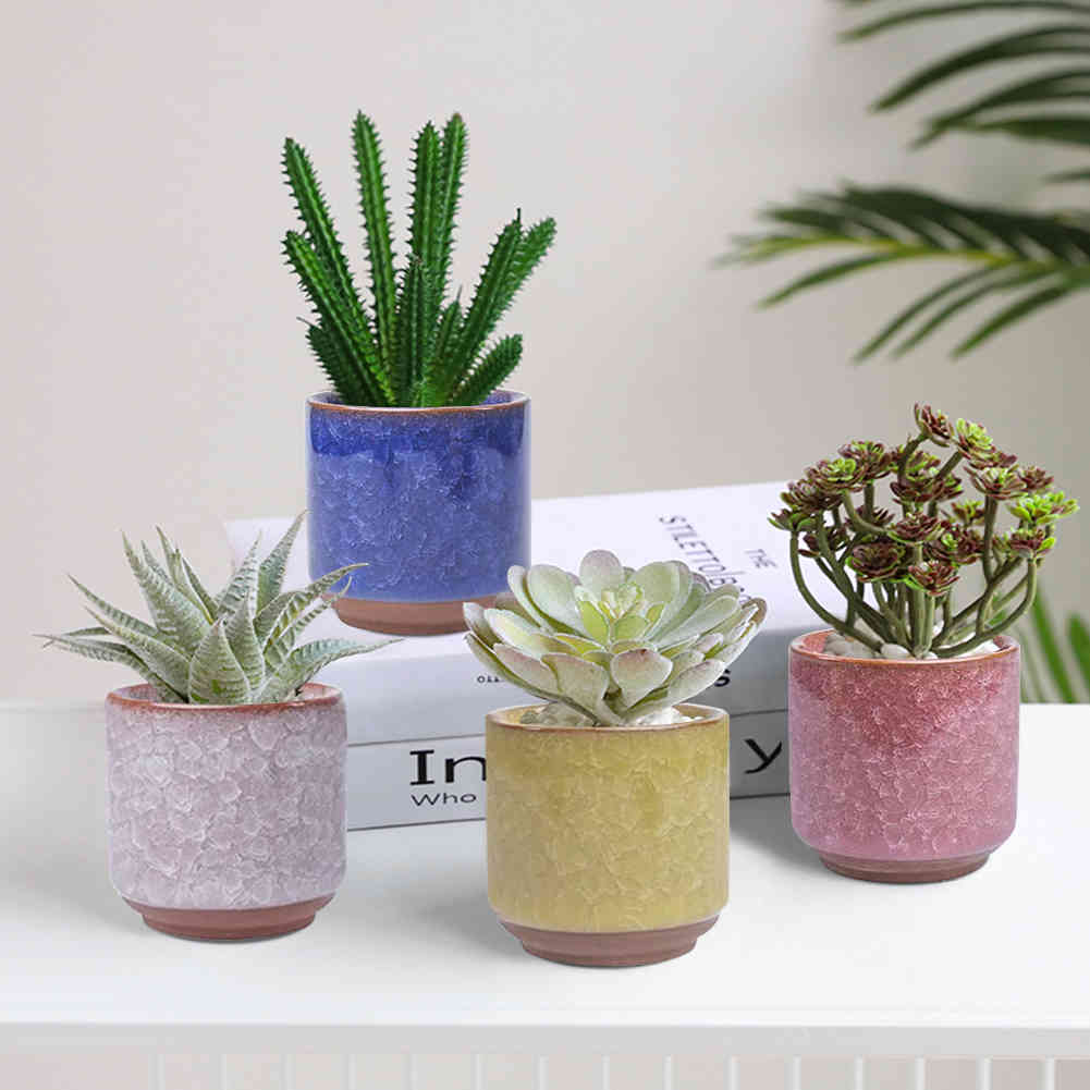 6 Pcs Ceramic Flower Pots Juicy Plants Flowerpot Bonsai Cacuts Pot Home Garden Decor Mini Succulent Plant Pots Factory direct Y0314
6 Pcs Ceramic Flower Pots Juicy Plants Flowerpot Bonsai Cacuts Pot Home Garden Decor Mini Succulent Plant Pots Factory direct Y0314