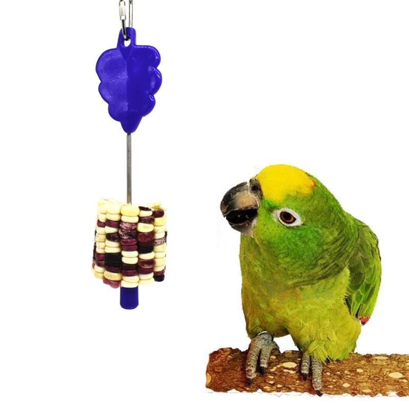 Stainless Steel Holder Stick Fruit Skewer Bird Treating Tool Parrot Toy Cage Accessories Other Supplies