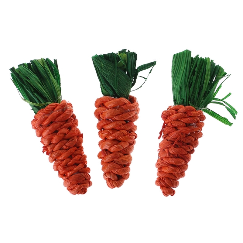 3.Cuts carrot Former rabbit Hamster Chew Bite Toys Cavia Dental cleaning Toys