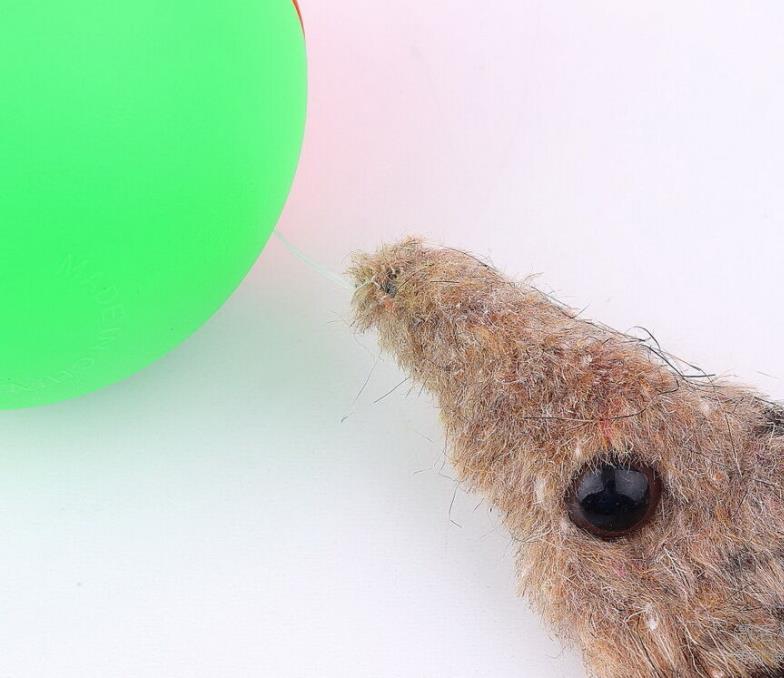 Dog Interactive Toys Beaver ball Cat Weasel Motorized Funny Rolling Balls Pet Kids Jumping Fun Moving Toy SN3002 H250210