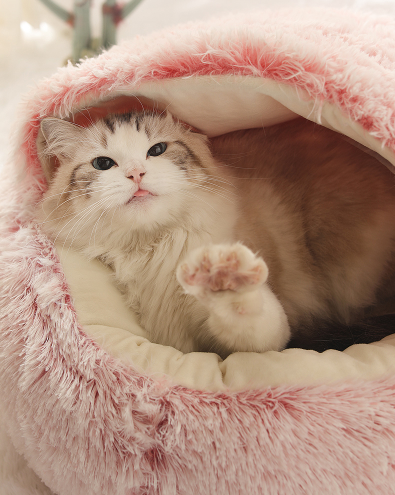 Cat Bed Round Push Cat Warm Bed House Soft ong Push Pet Dog Bed For Sma Dogs Cat Nest 2 In 1 Cushion Seeping Sofa, Pink
Cat Bed Round Push Cat Warm Bed House Soft ong Push Pet Dog Bed For Sma Dogs Cat Nest 2 In 1 Cushion Seeping Sofa, Pink
