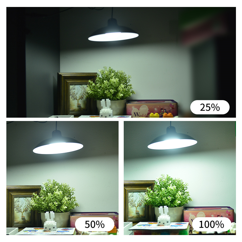 Solar Pendant Lamp Indoor Outdoor waterproof Remote garden lights Single Double head led light for camping home Patio Chandelier