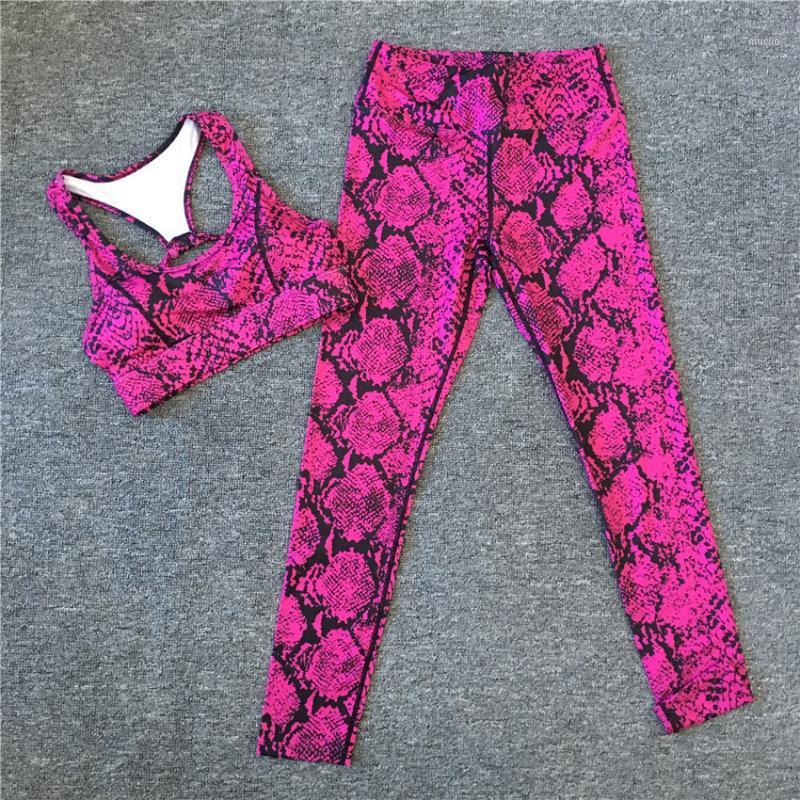 Larger Pad Snake Women Sport Wear Jogging Suit Fitness Gym Yoga Set Female Running Leggings Sportswear Tracksuit Outfit, Cb807 rose snake
Larger Pad Snake Women Sport Wear Jogging Suit Fitness Gym Yoga Set Female Running Leggings Sportswear Tracksuit Outfit, Cb807 rose snake