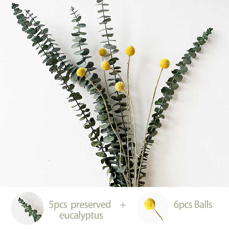 Rabbit Tai Grass agurus Ovatus dried fowers eucayptus eaves Branches rea cotton fowers biy-Ba fowers For Home Decor, 5 pcs and 6 pcs
Rabbit Tai Grass agurus Ovatus dried fowers eucayptus eaves Branches rea cotton fowers biy-Ba fowers For Home Decor, 5 pcs and 6 pcs