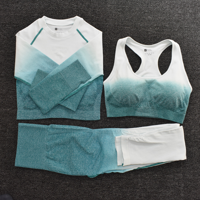 Ombre Women Yoga Set Seamless Leggings Long Sleeve Crop Top Sports Bra Running Pants Gym Clothing Fitness Workout Sports Suit, Brapantsgray
Ombre Women Yoga Set Seamless Leggings Long Sleeve Crop Top Sports Bra Running Pants Gym Clothing Fitness Workout Sports Suit, Brapantsgray