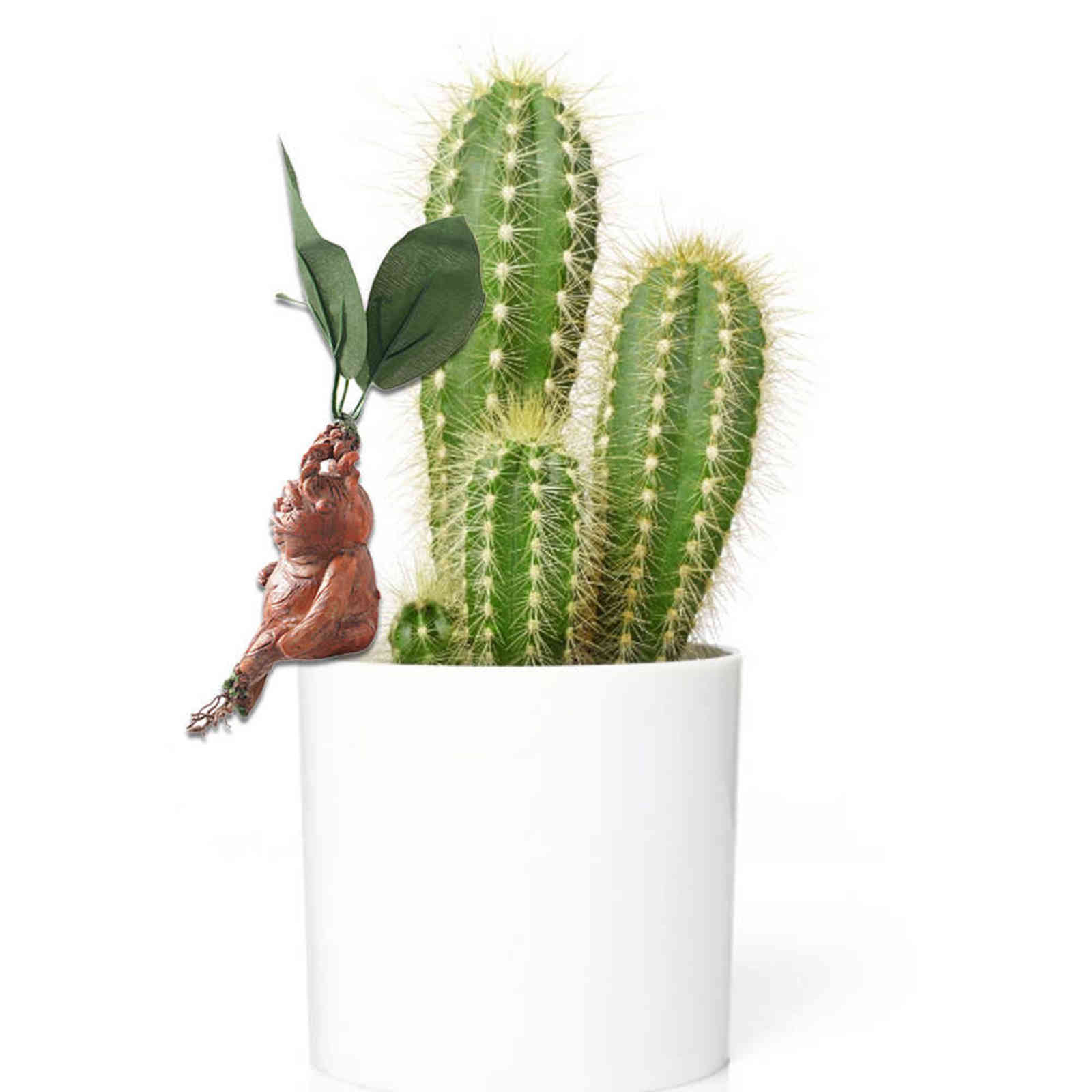 Mandela Resin Ornaments Home Decoration Garden Ornaments Harrys Suitable For Living Room Bedroom Office Fairy Pottered Figure H1101158596