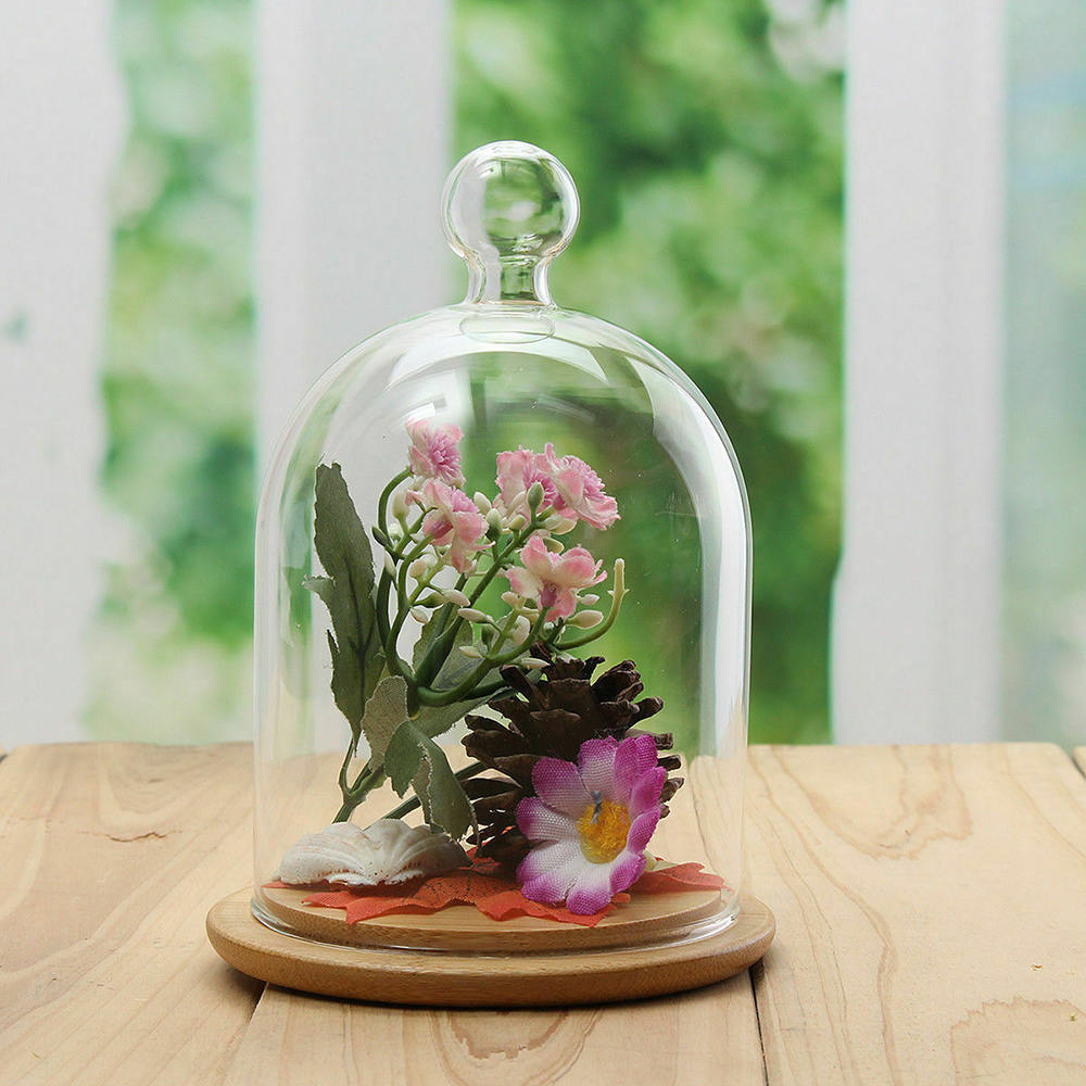Clear Vases Glass Flower Display Cloche Bell Jar Dome Immortal Preservation with Wooden Base Flower Glass Cover Home Decor 210409