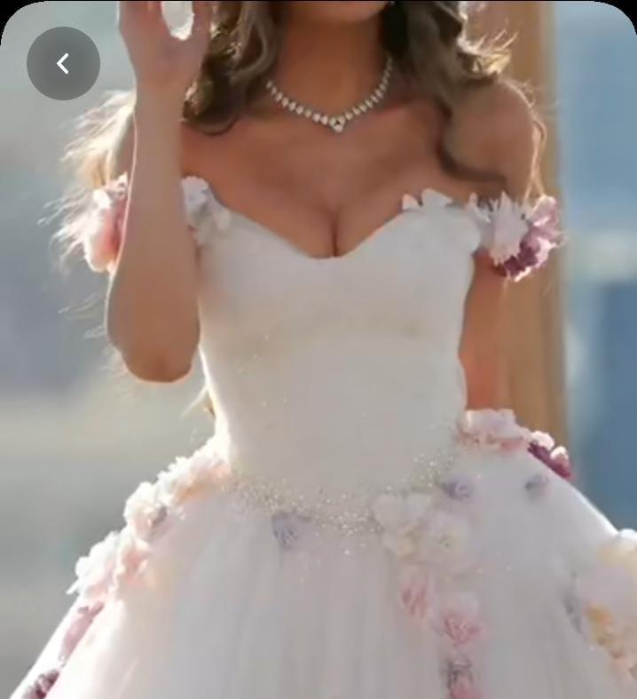 Off Shoulder Colorful 3D Flowers Cinderella Themed Wedding Dress Ball Gown Romantic Sweep Train