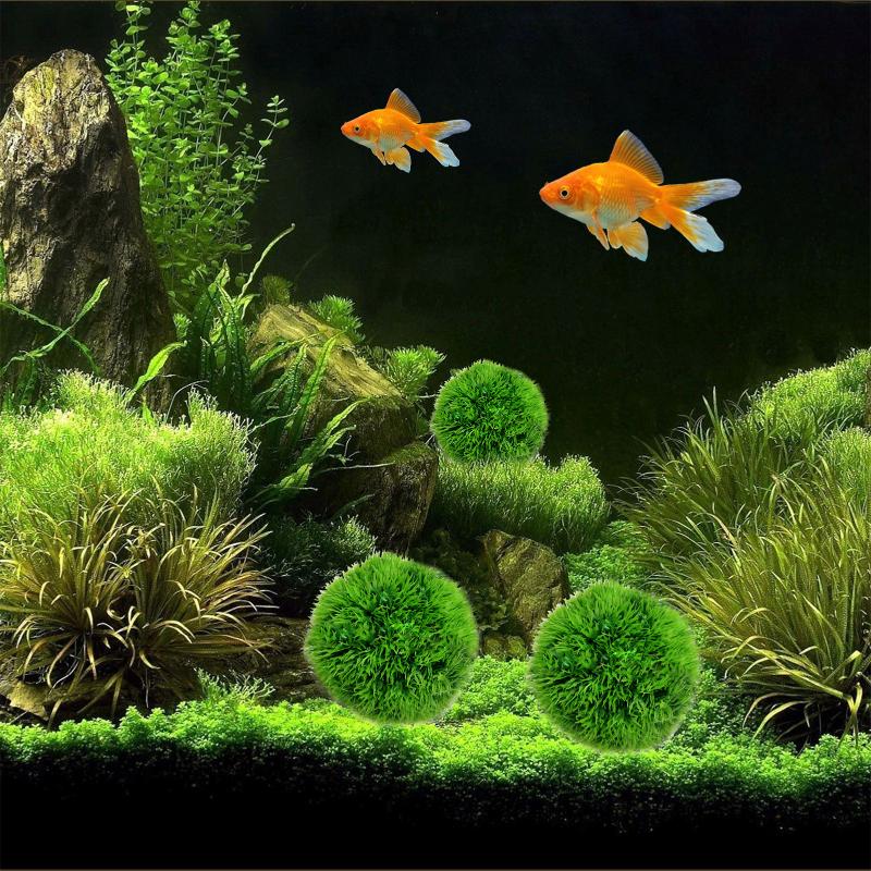 Decorations 2PCS Plastic Simulation Moss Ball Aquarium Water Tank Aquatic Plants Decoration
Decorations 2PCS Plastic Simulation Moss Ball Aquarium Water Tank Aquatic Plants Decoration