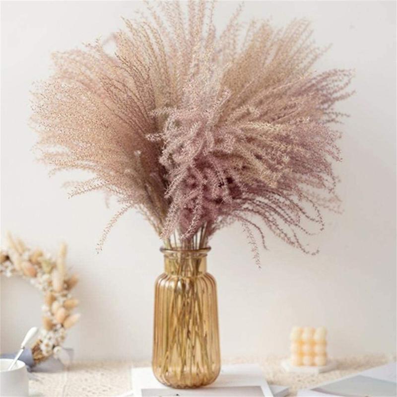 100pcs Wedding Flowers Pampas Grass Large Size Fluffy For Home Christmas Decor Natural Plants White Dried Flower Decorative & Wreaths