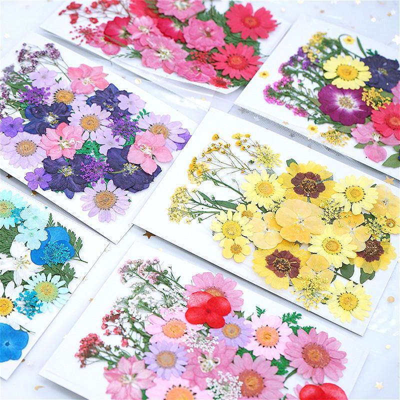 Gift Wrap Flower Floral Stationery Sticker Planner Scrapbooking Diary Deco School Office Supplies Kawaii Stickers
Gift Wrap Flower Floral Stationery Sticker Planner Scrapbooking Diary Deco School Office Supplies Kawaii Stickers
