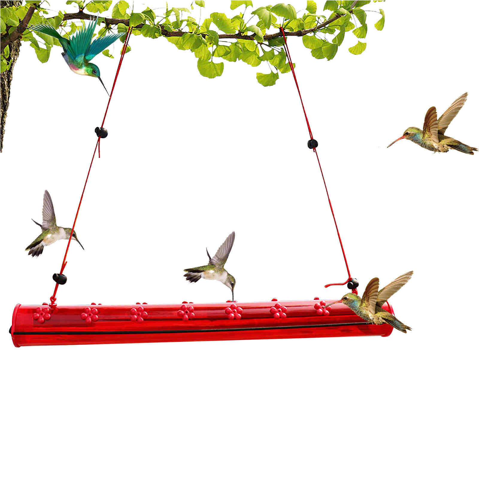 Best hummingbird feeder with hole feeding red tube feeding easy to use garden feeding supplies 2021 gardening tools