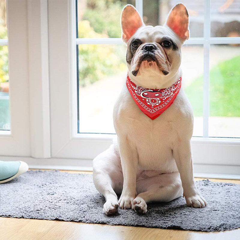 Dog Collars & Leashes Pet Triangle Scarf Adjustable PU Leather Collar Bib Small Teddy Supplies Jewelry Saliva Towel
Dog Collars & Leashes Pet Triangle Scarf Adjustable PU Leather Collar Bib Small Teddy Supplies Jewelry Saliva Towel