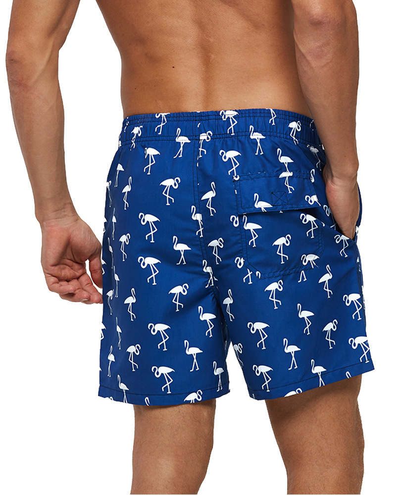 Casual Fashion Men's Shorts Quick Dry Swim Trunk Beach with Mesh Liner Pockets Men's Pants Stripe Casual Short Mens Swimming, Vertical cactus
Casual Fashion Men's Shorts Quick Dry Swim Trunk Beach with Mesh Liner Pockets Men's Pants Stripe Casual Short Mens Swimming, Vertical cactus