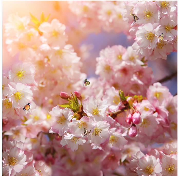 Beautiful peach blossom butterfly mural ceiling modern wallpaper for living room 3d ceilings