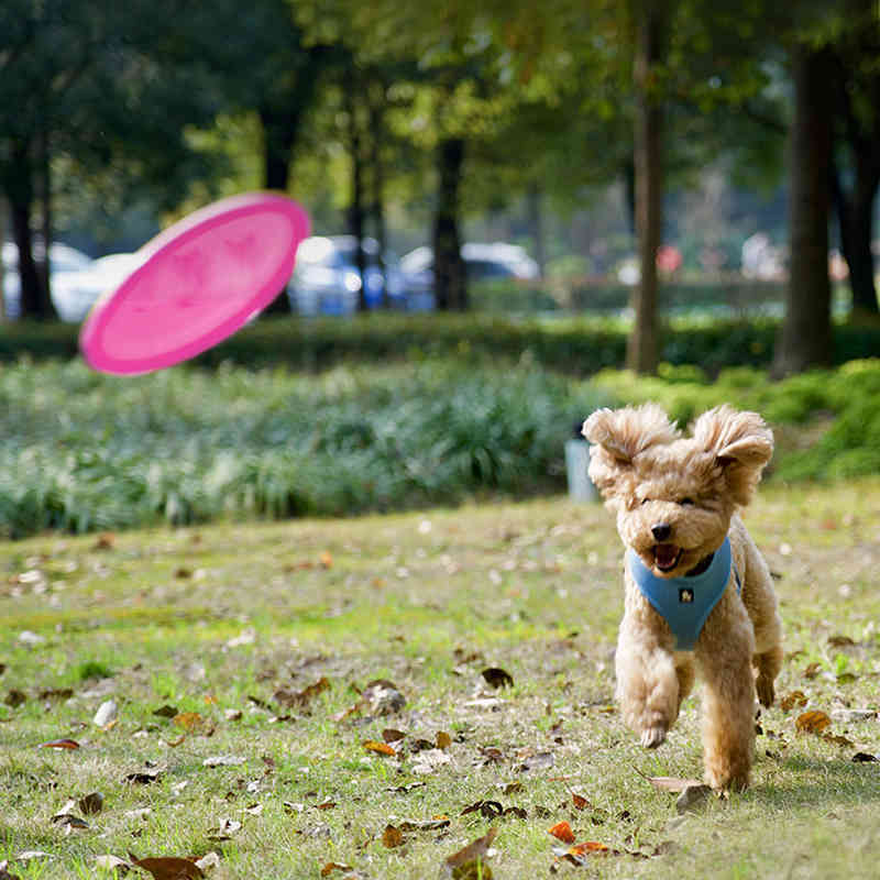 1 Pc Interactive Dog Chew Toys Resistance Bite Soft Puppy Pet Toy for Dogs Pet Training supplies Dog Flying Discs