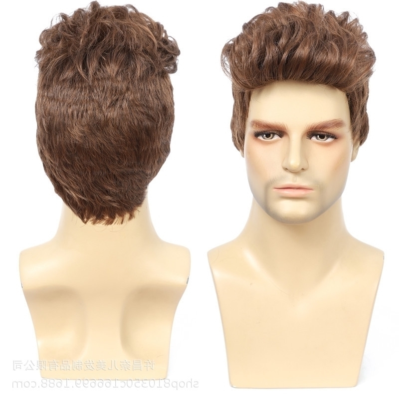 male Harajuku wig Wig full head set brown short curly hair fake Afro men wigs, A-yf-2004
male Harajuku wig Wig full head set brown short curly hair fake Afro men wigs, A-yf-2004