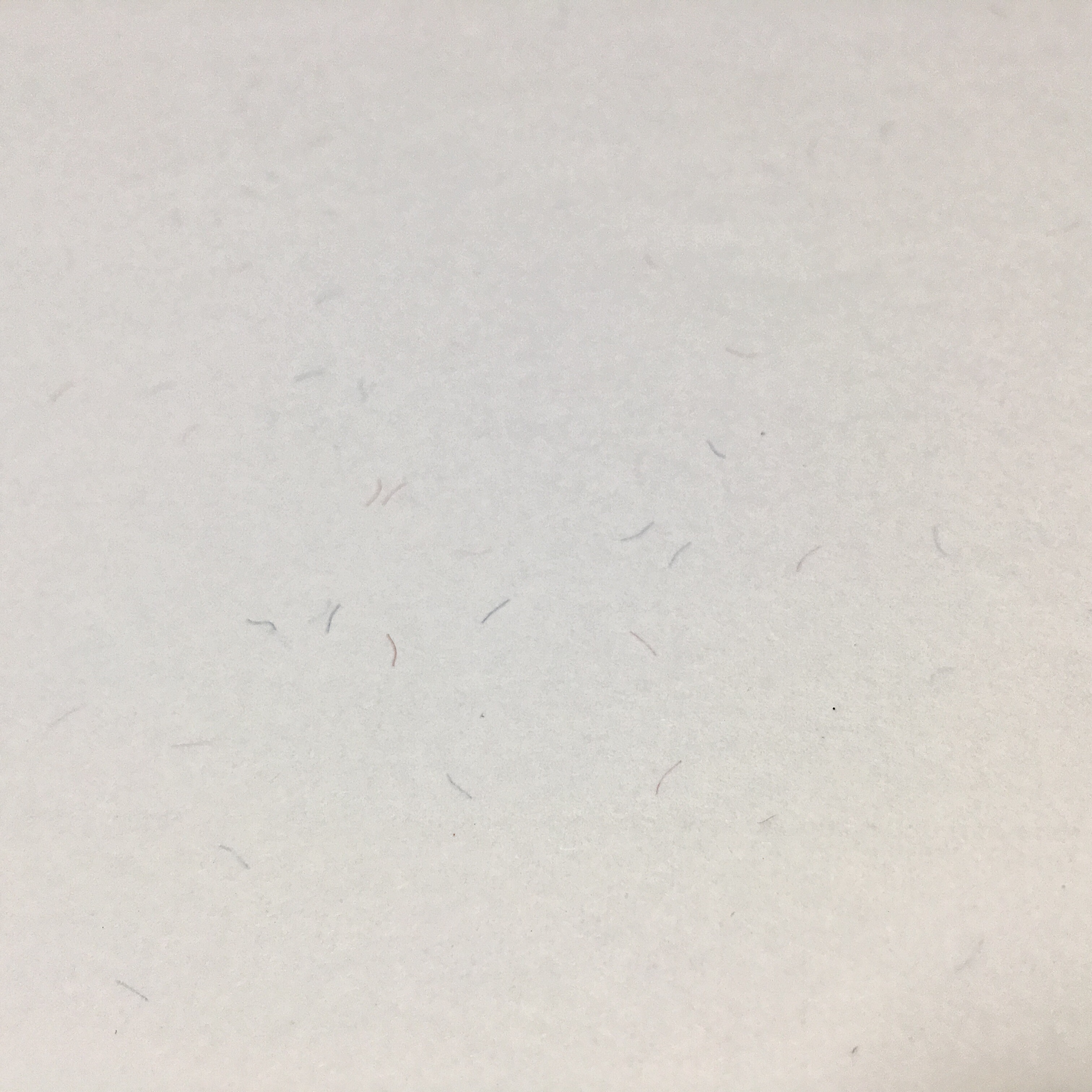 75Cotton 25Linen White color A4 Paper With redblue fiber Starch Waterproof 85gsm for Printing banknotebillmoneycer3242966