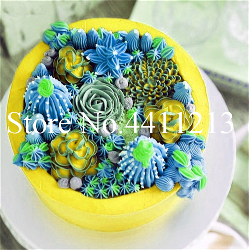 100 Pcs seeds Rainbow succulent bonsai,Living Stones Cactus Organic Garden plants,bonsais planta for indoor succulent rara All for a summer residence Aerobic Potted
100 Pcs seeds Rainbow succulent bonsai,Living Stones Cactus Organic Garden plants,bonsais planta for indoor succulent rara All for a summer residence Aerobic Potted