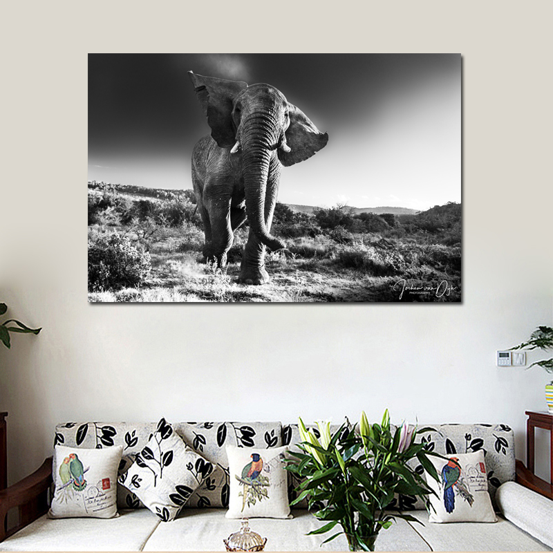 Black and White Canvas Art African Posters Prints Wall Pictures For Living Room Modern Quadros Decoration
Black and White Canvas Art African Posters Prints Wall Pictures For Living Room Modern Quadros Decoration