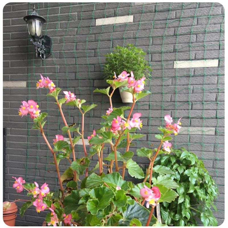 Other Garden Supplies Durable Nylon Trellis Net Netting Plant Support For Climbing Plants Vegetable High Quality Drop