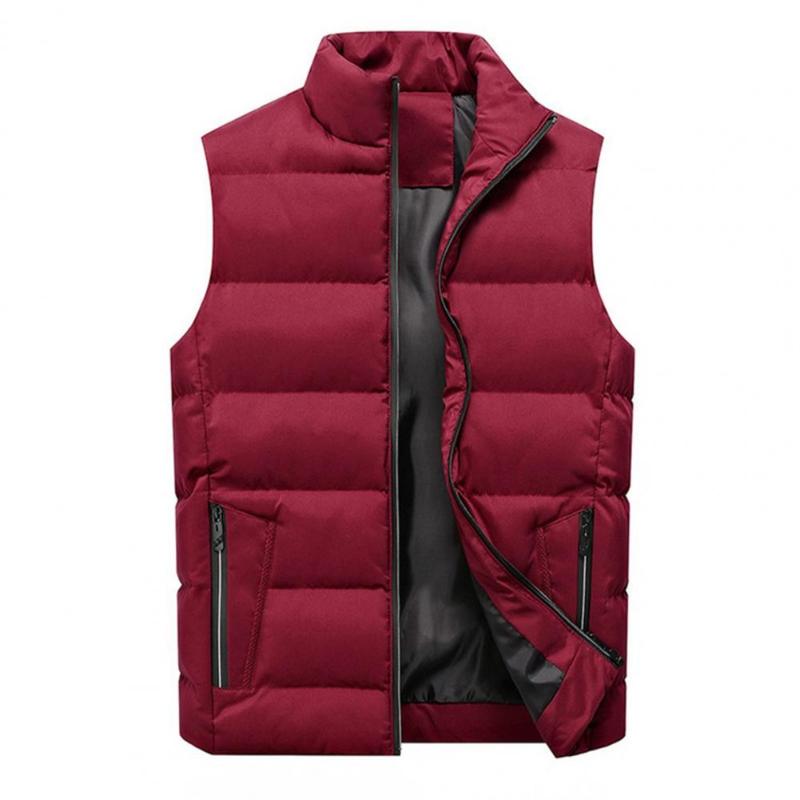 Men's Jackets Men Vest Stand Collar Padded Sleeveless Solid Color Waistcoat For Daily Wear, Black;brown
Men's Jackets Men Vest Stand Collar Padded Sleeveless Solid Color Waistcoat For Daily Wear, Black;brown