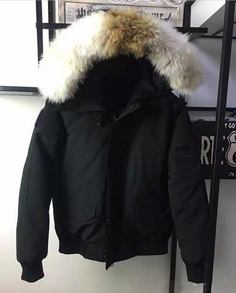 Top quality down jacket 85~90% White goose short outwear hooded men warm winter heavyweight canada Raccoon Fur Parkas, Black
Top quality down jacket 85~90% White goose short outwear hooded men warm winter heavyweight canada Raccoon Fur Parkas, Black