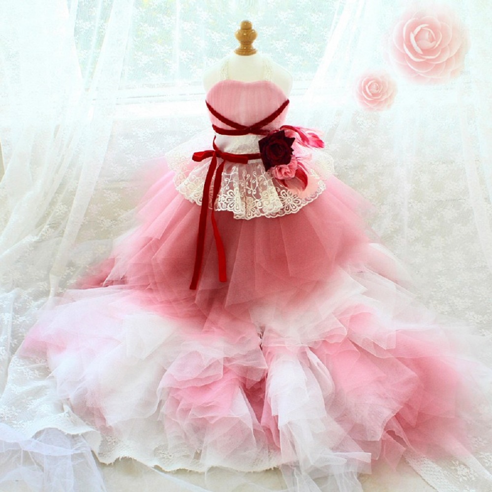 Handmade Pet Clothes Dog Apparel Wedding Dress Cat Clothes Contrasting Thread Feather Flowers Accessories Rhombus Tulle Skirt Trailing Party Holiday Show, Pink
Handmade Pet Clothes Dog Apparel Wedding Dress Cat Clothes Contrasting Thread Feather Flowers Accessories Rhombus Tulle Skirt Trailing Party Holiday Show, Pink