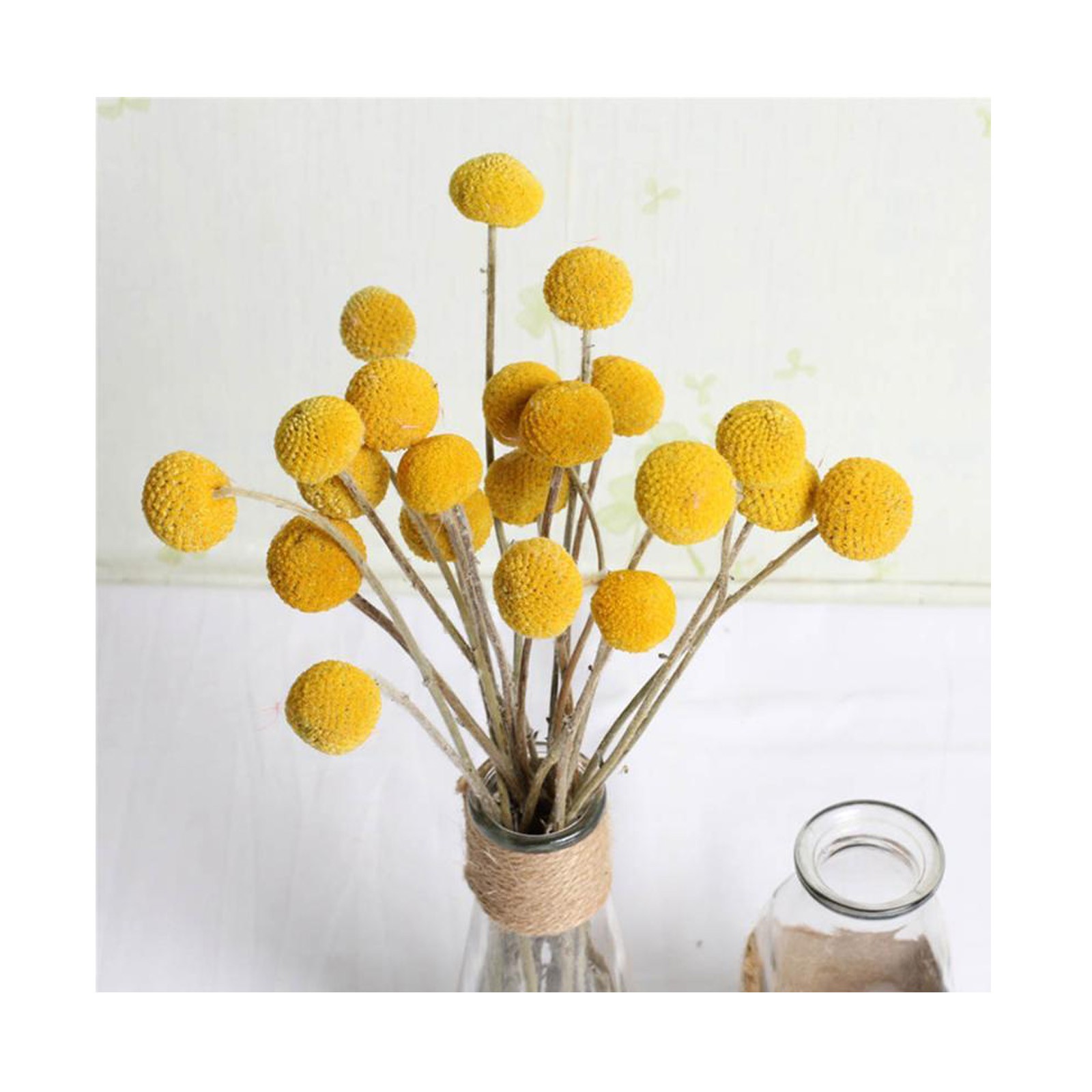 30pcs Dried Craspedia Dried Flowers Billy Button Balls Artificial Flowers Fake Silk Yellow Flowers For Decor Room Decoration
30pcs Dried Craspedia Dried Flowers Billy Button Balls Artificial Flowers Fake Silk Yellow Flowers For Decor Room Decoration