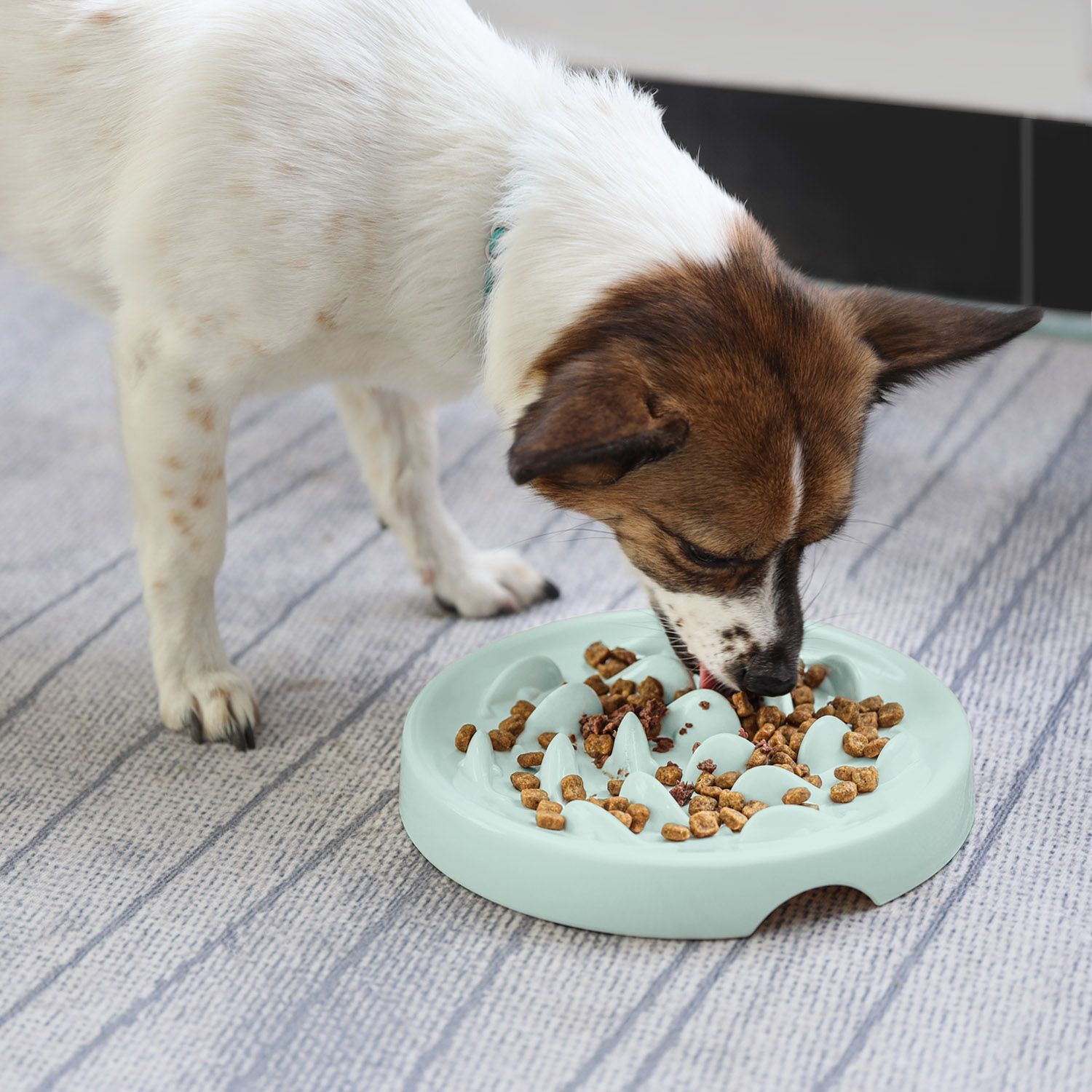 Quality Dog Bowl Slow Feeder Durable Eco-friendly Nonslip Slow Feeding Pet Bowl For Small Medium Large Dogs Puppy Eating