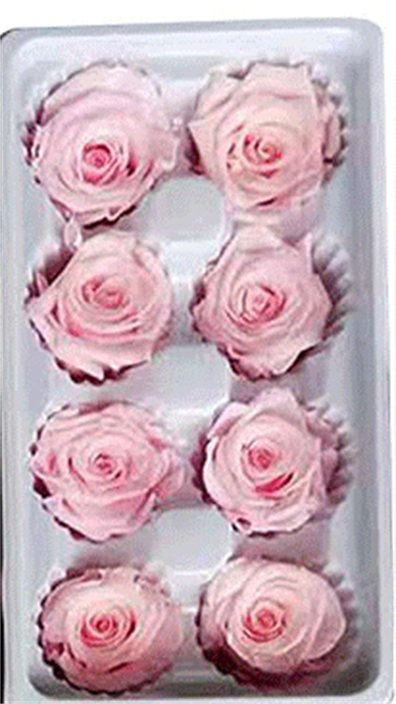 Roses Gift Box Eternaled Flower 8pcsbox Handmade Preserved Flowers Eternal Rose Present for her on Valentines Mother039s Day B6440926