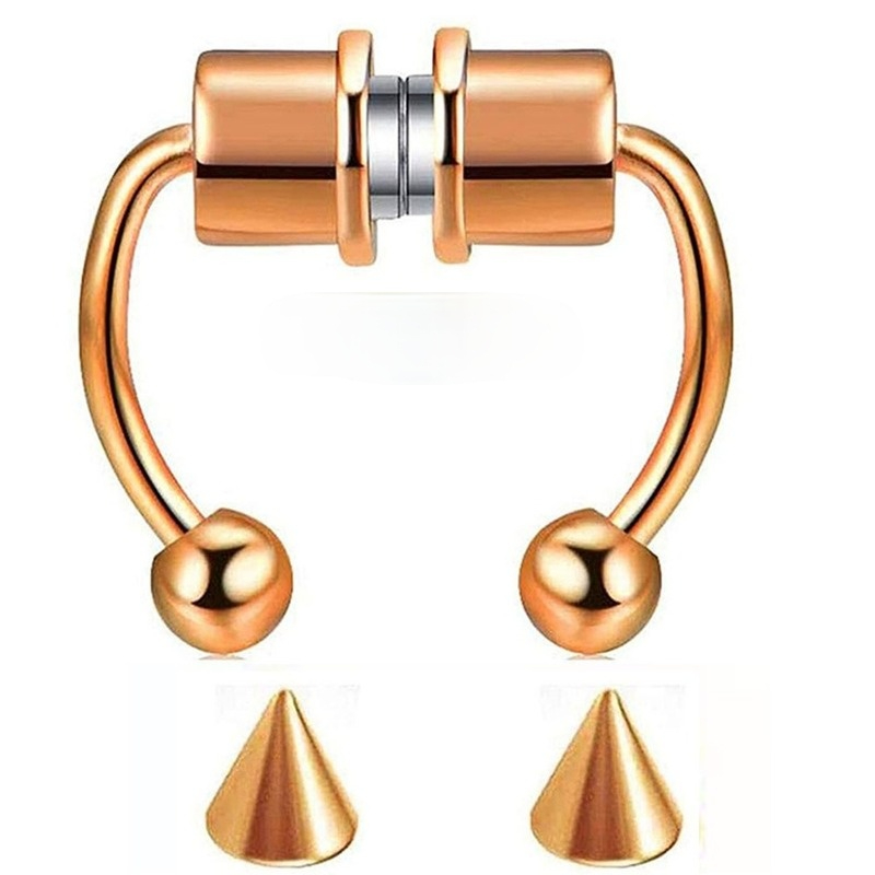 Magnet Clip on Nose Rings Studs Gold Rainbow No Hole Anti Allergy Stainless Steel Ring Body Jewelry for Women Fashion Will and Sandy