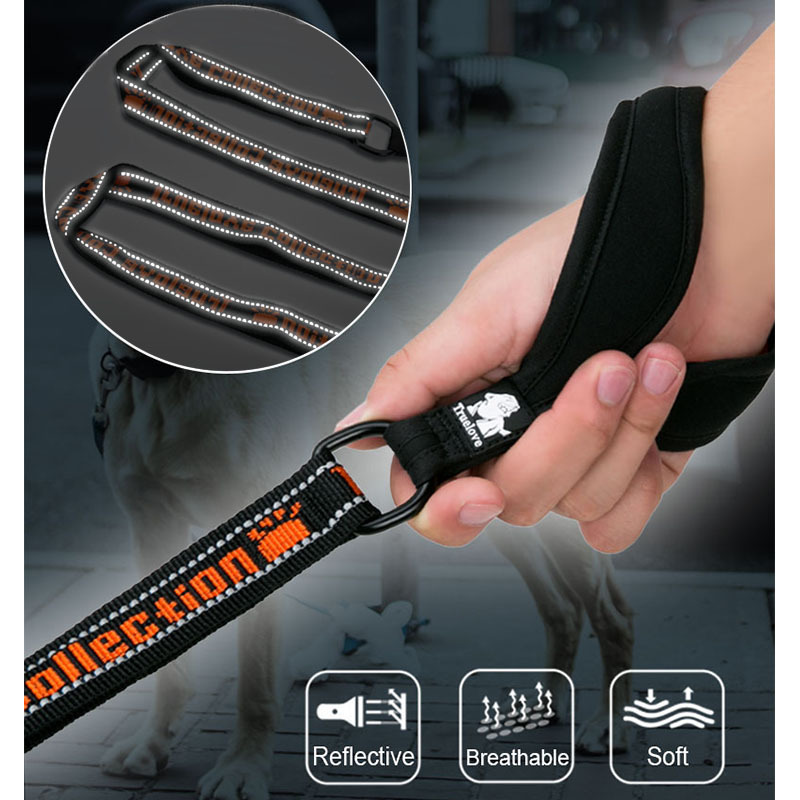 Truelove Best Nylon Pet Dog Collars And Leashes Reflective Embroidery For Small Large Dogs Popular Unique Male Female Puppy